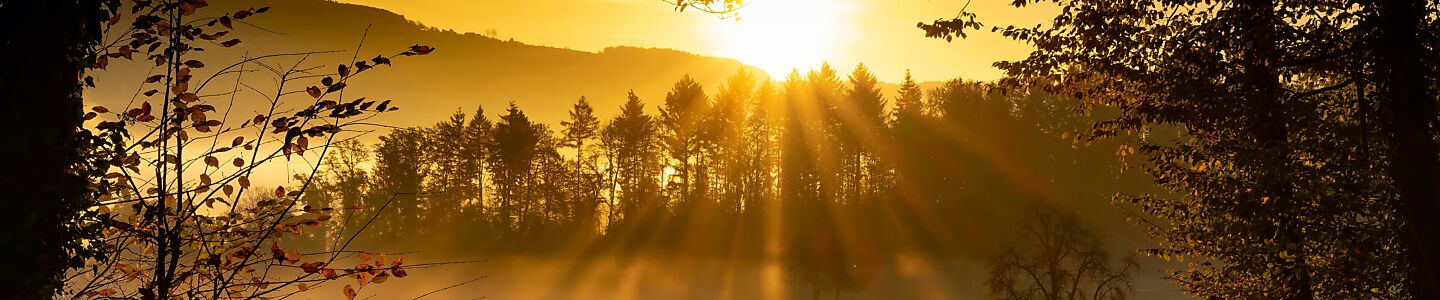 Sonnenuntergang in Bellikon